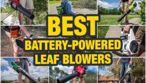 Best Cordless Leaf Blower Reviews