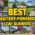 Best Cordless Leaf Blower Reviews