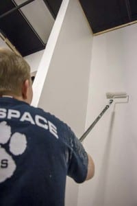 painting a set behr premium plus ultra roller