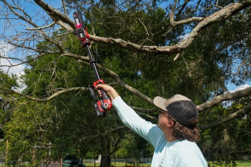 Skil Telescopic Pruning Saw